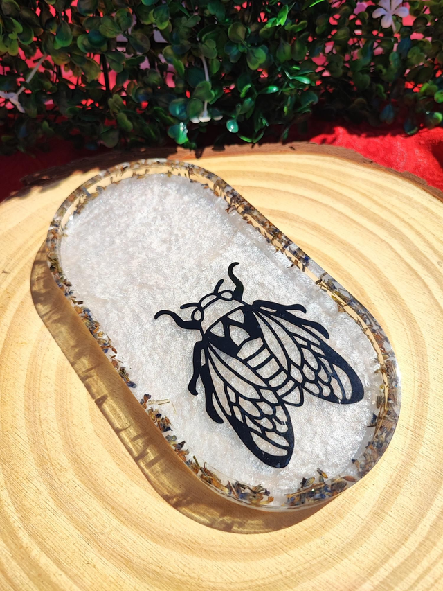 Plateau - Provençal 