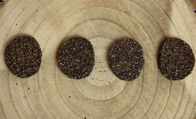 Venison Burgers