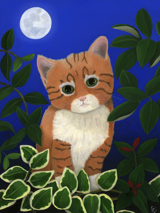 SUNSHINE IN THE MOONLIGHT