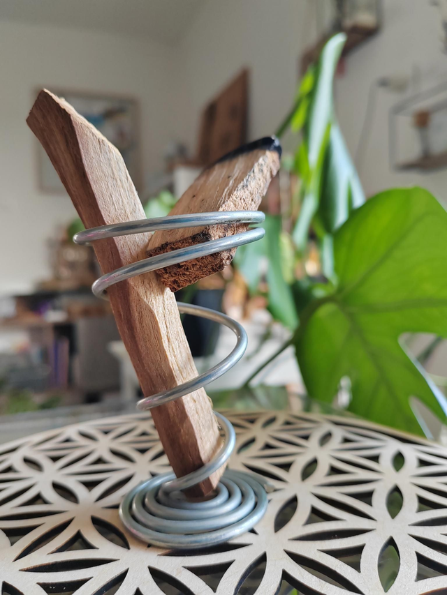 Porte - sauge ou Palo Santo 