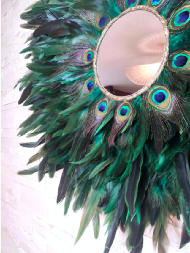 Jujuhat Plumes de paon et Plumes de coq