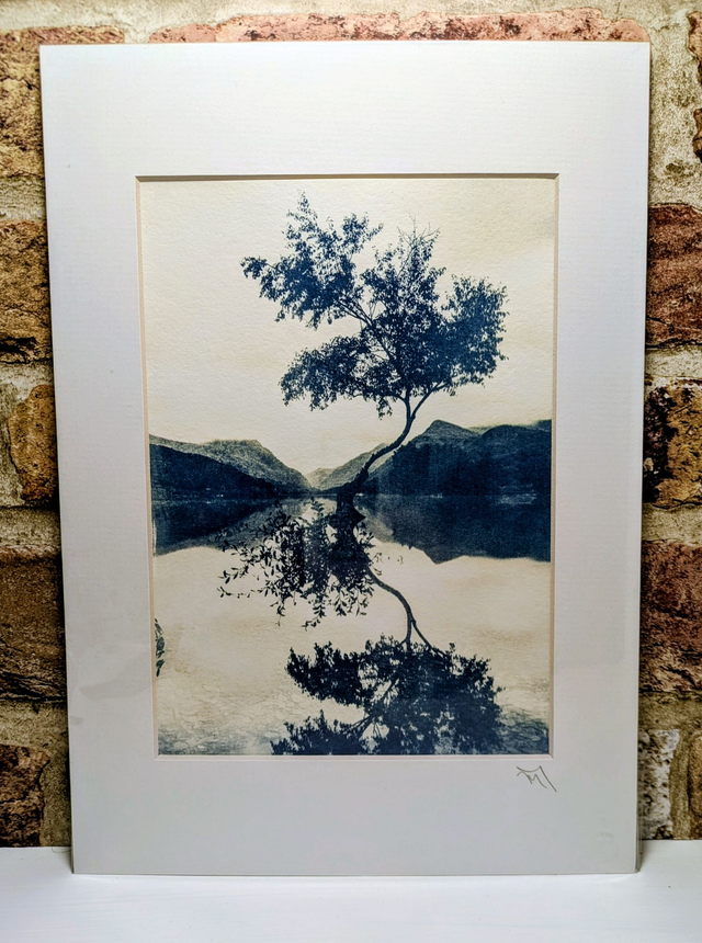 Cyanotype Art by Mary Thomas