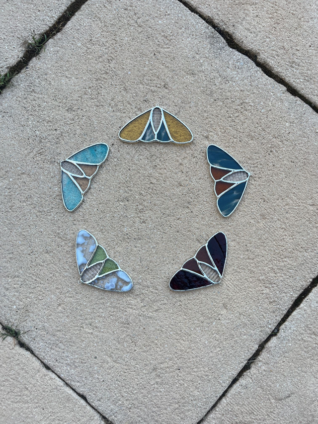 Les papillon de nuit