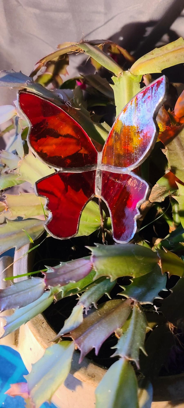 Papillon en Tiffany rouge  transparent. 