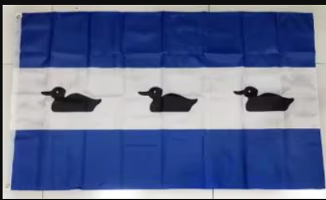 Grote vlag Diemen (150x90cm)