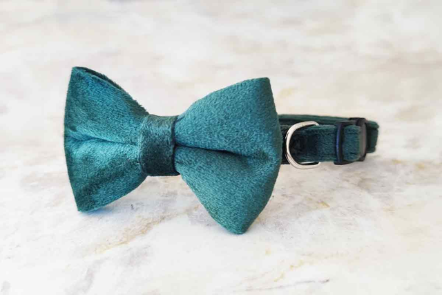 Velvet Green Collar