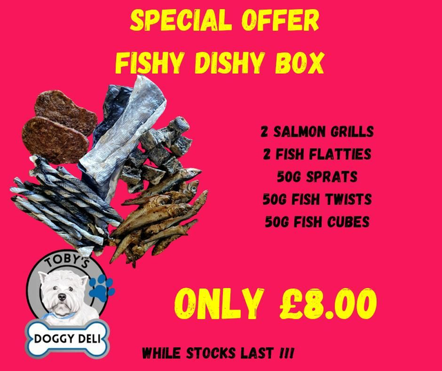 Fishy Dishy Box