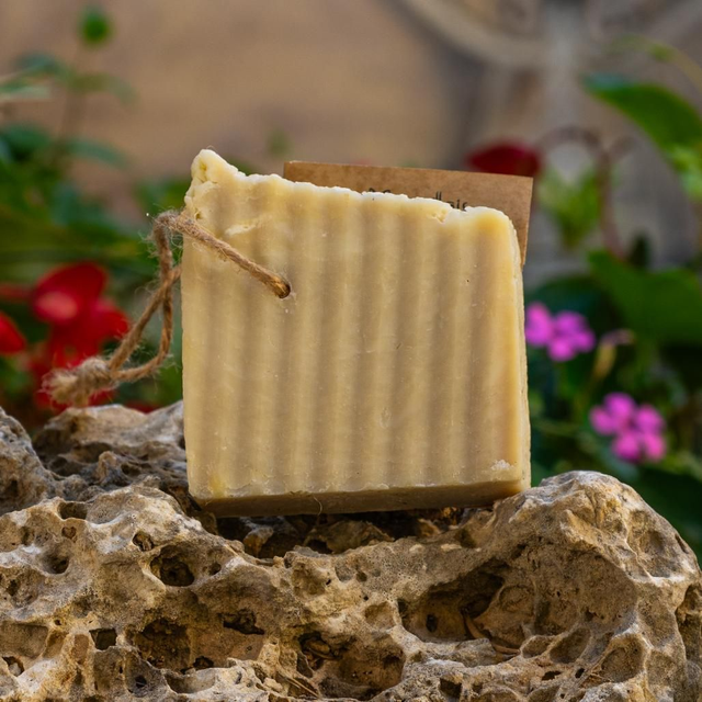 Lin Marseillais - Tranche🌾