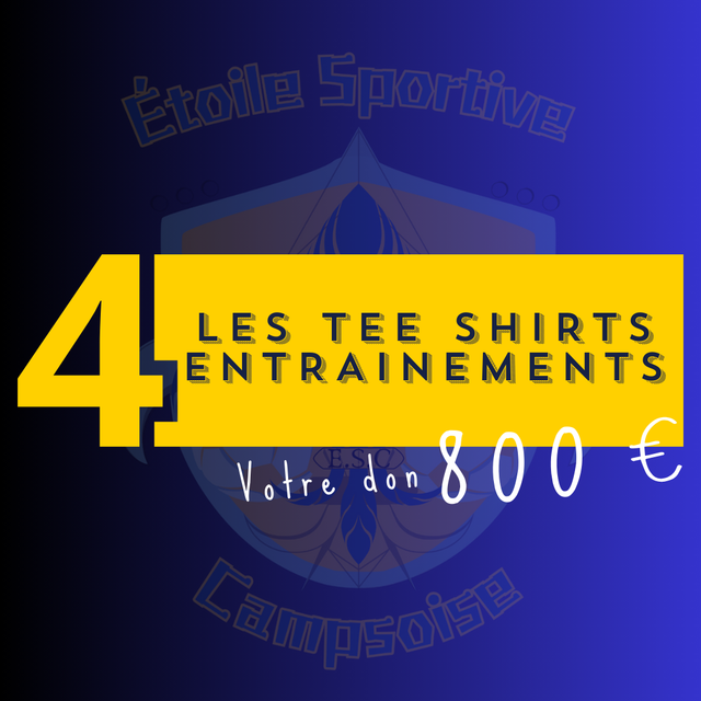 Vos couleurs sur les maillots d'entrainements de nos licenciés 