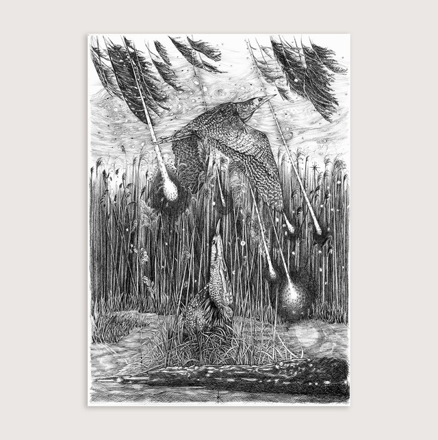 Les Fantômes du marais