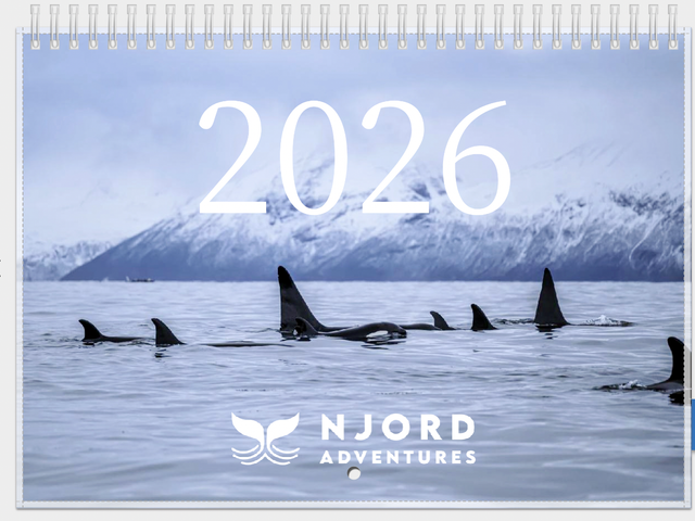 Calendar - 2026