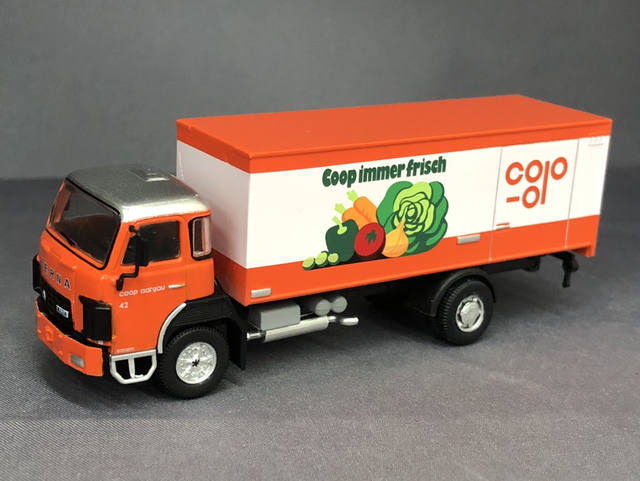 Saurer D250/D290 Frontlenker COOP 1:87 ACE / Arwico