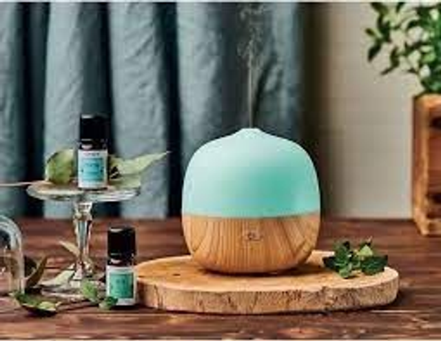 Diffusore ad Ultrasuoni Berry Nasoterapia