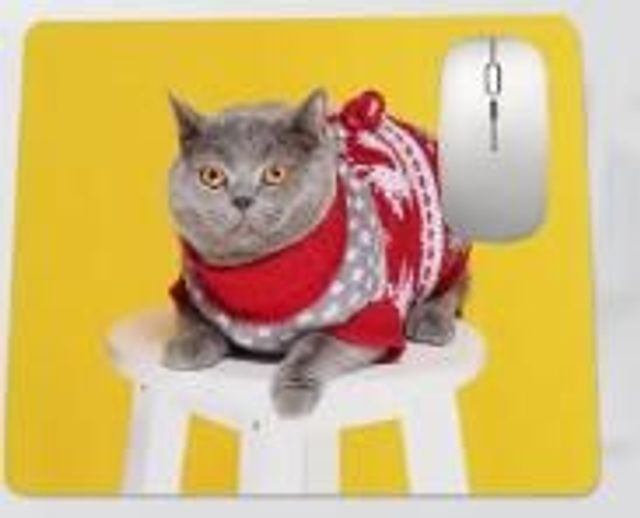 Tapis de souris