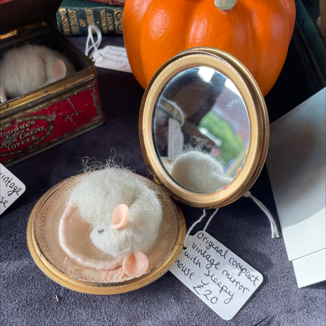 Mirror Mouse