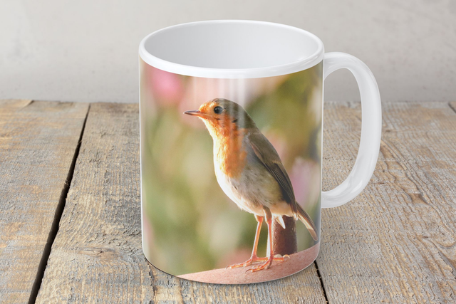“Robby Robin” Mug 