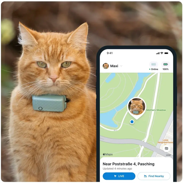 Tractive GPS CAT Mini