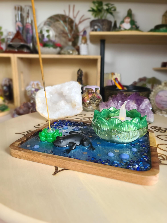 Plateau de fumigation 🐸 Métamorphose de la grenouille rectangulaire