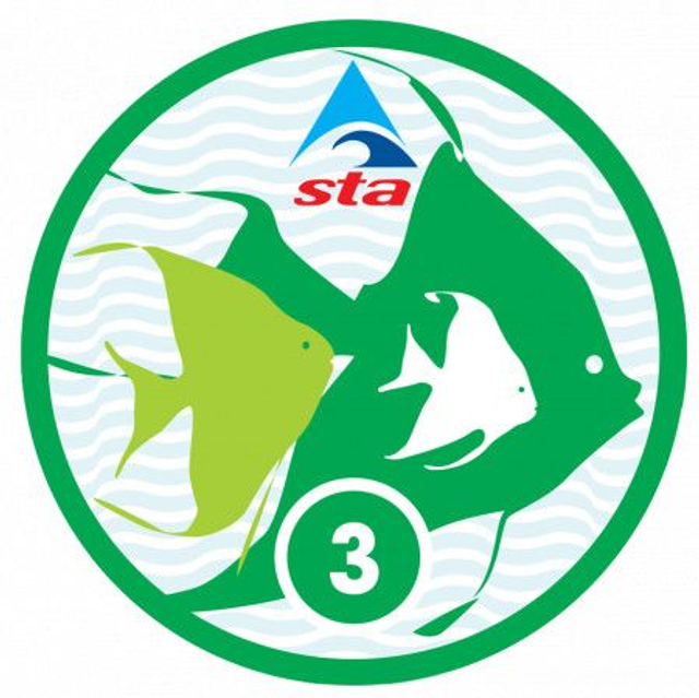 Angelfish 3 - Certificate with Badge