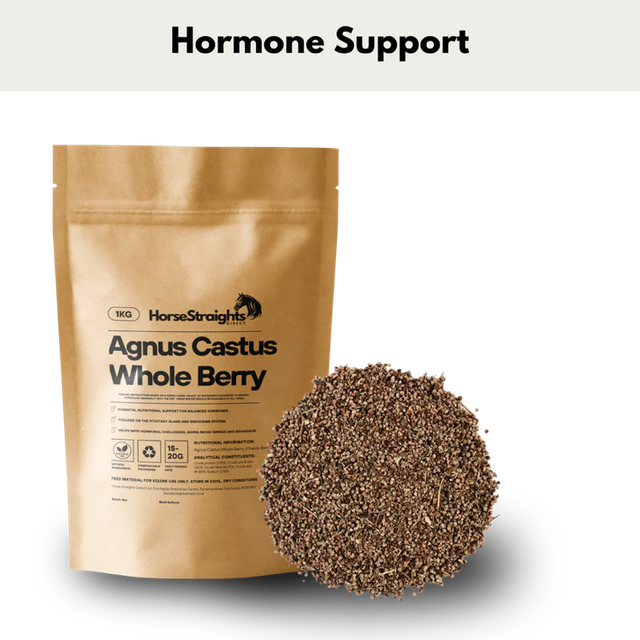 Agnus Castus Whole Berry - HORSE STRAIGHTS