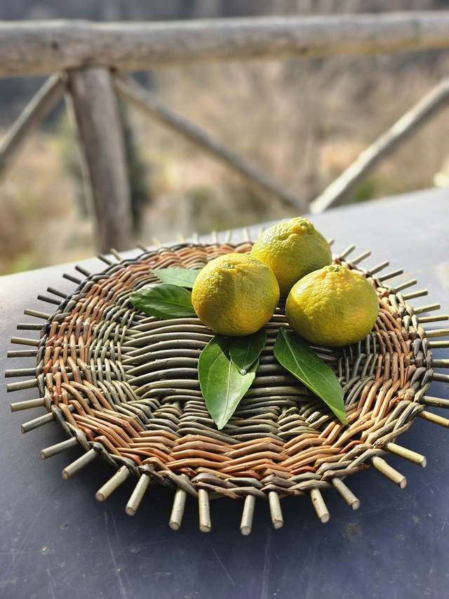 Plateau catalan 30cm