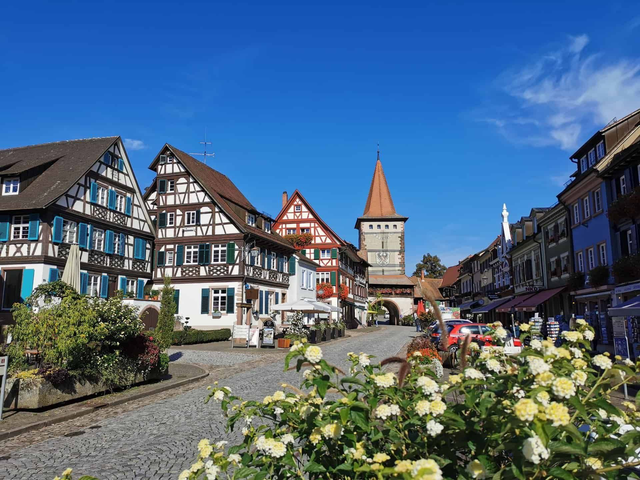 visite de la foret noir avec un chauffeur privé 8/9H