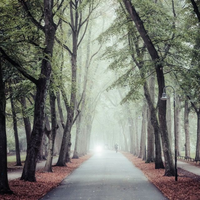 Promenade im Nebel