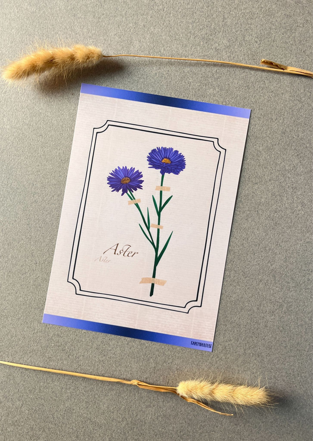 Affiche 09. L'Aster (septembre)