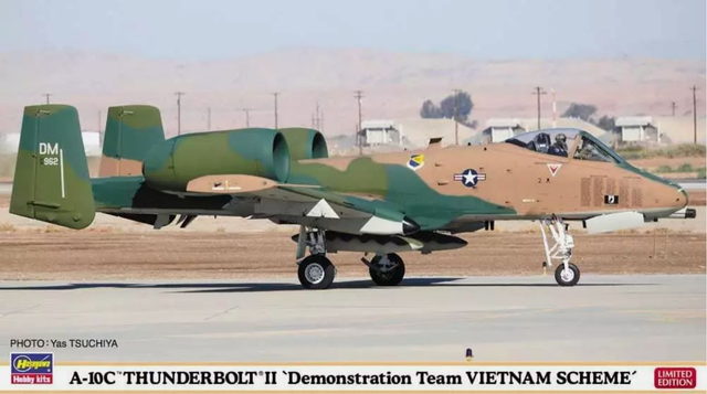 A-10C Thunderbolt II Demonstration Team Vietnam Camouflage