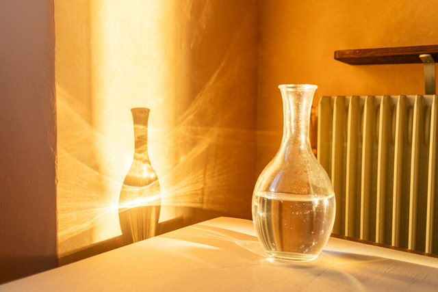 Temporary Peace in my Temporary House