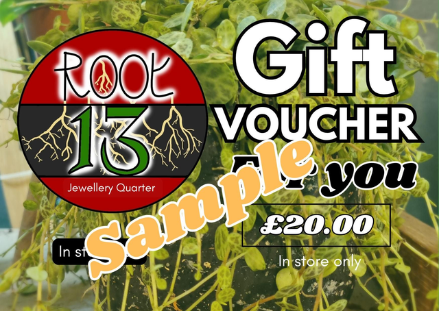Physical gift voucher 