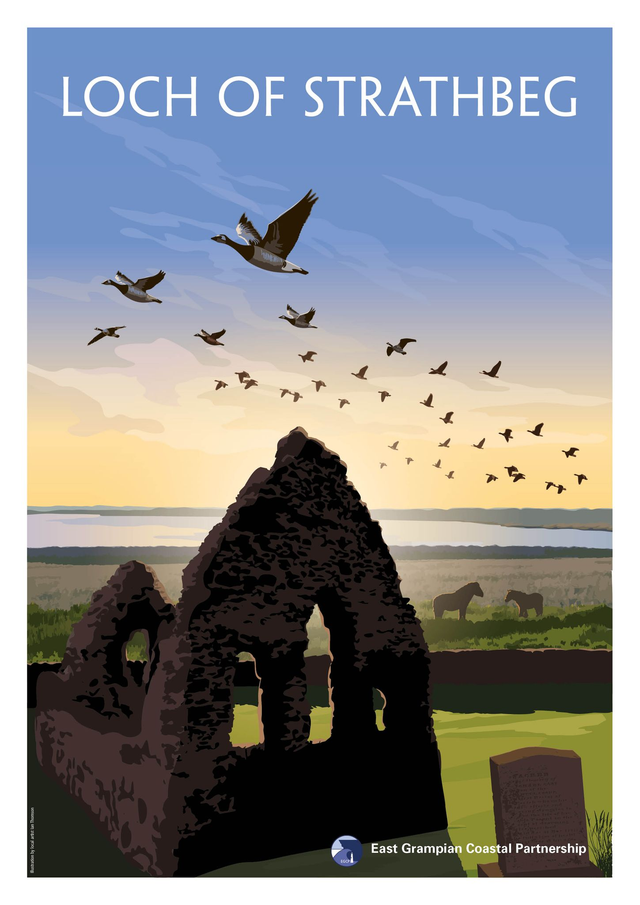 Loch of Strathbeg A3 Poster