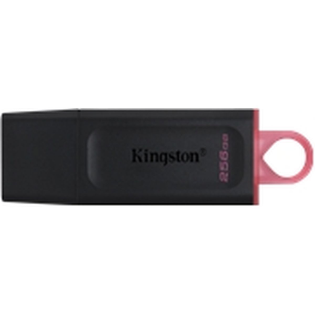 Kingston 256GB DTX USB 3.2 Gen 1