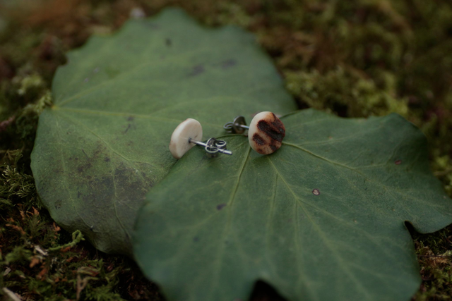 Pion &quot;Boc&quot;