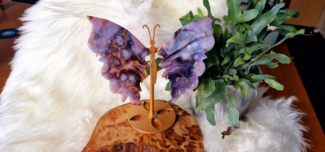 Blue Flower Agate Butterfly wings on stand 
