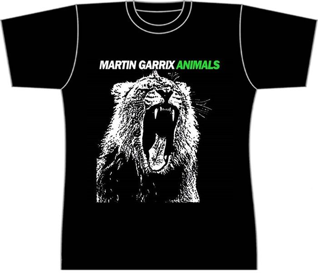 Martin Garrix