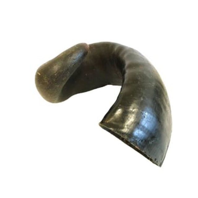 Buffalo Horn (Hollow)