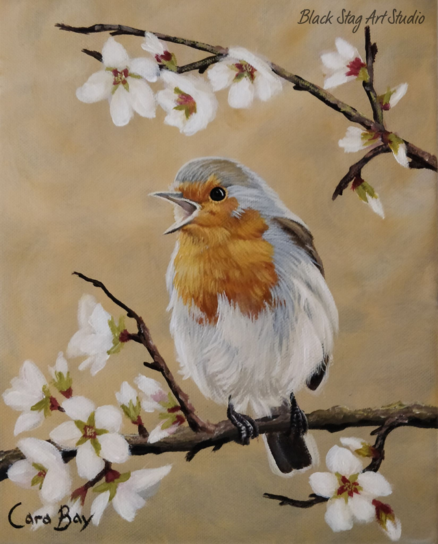 Singing Robin PRINT on canvas (1)