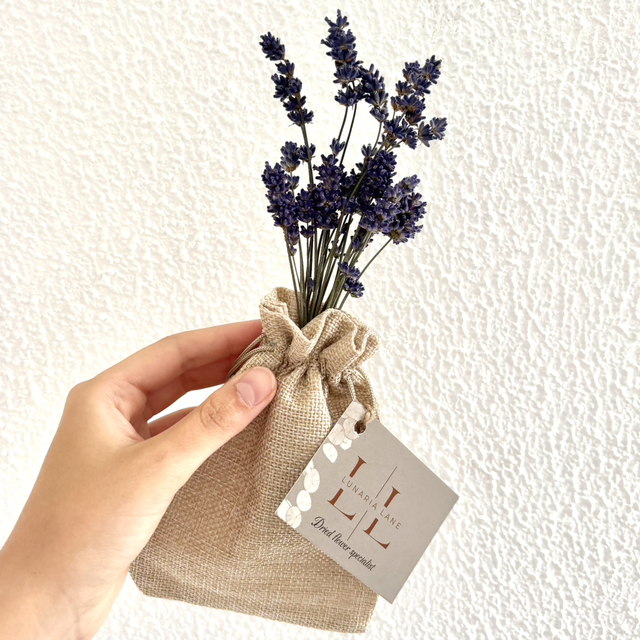 Bunch of lavender 