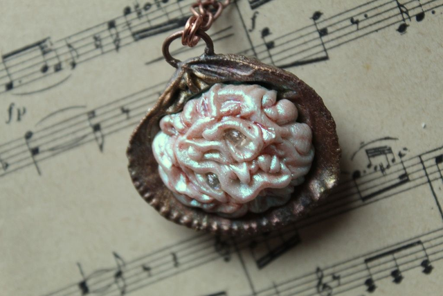 Coquillage Métamorphe ( Cuivré ) n°23