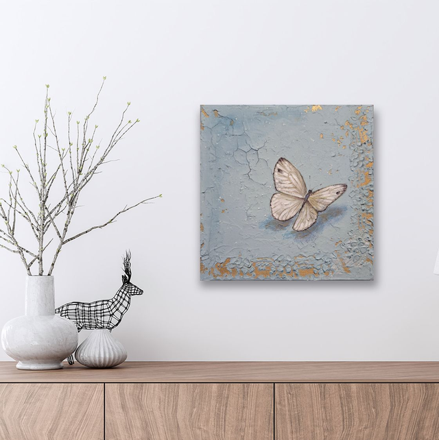 Farfalla Pieris brassicae (Cavolaia)