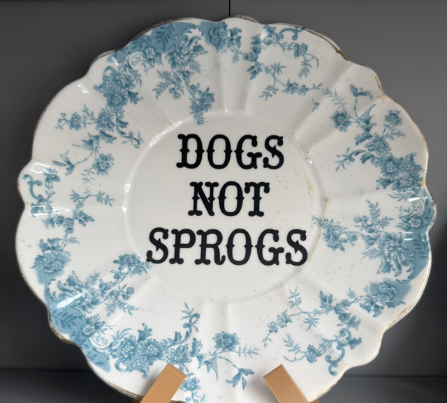 Dogs not Sprogs 