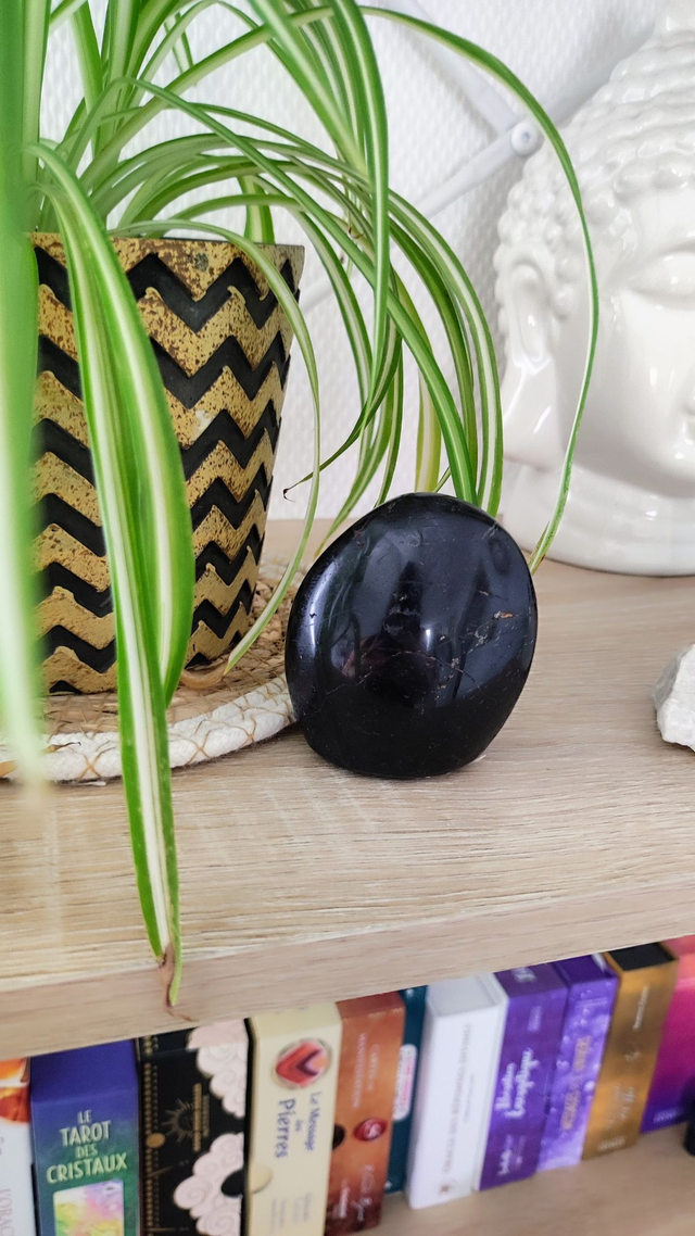 Bloc Tourmaline noire