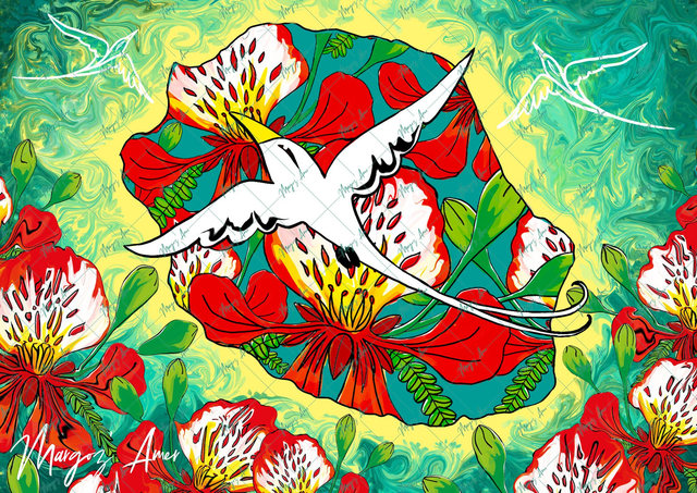 Paille-en-Queue Flamboyant