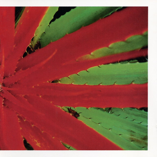 Jejune - This Afternoons Malady 2xLP