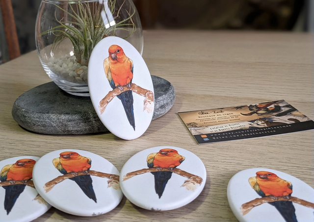 Perruche Conure, Broche Soft Touch ovale