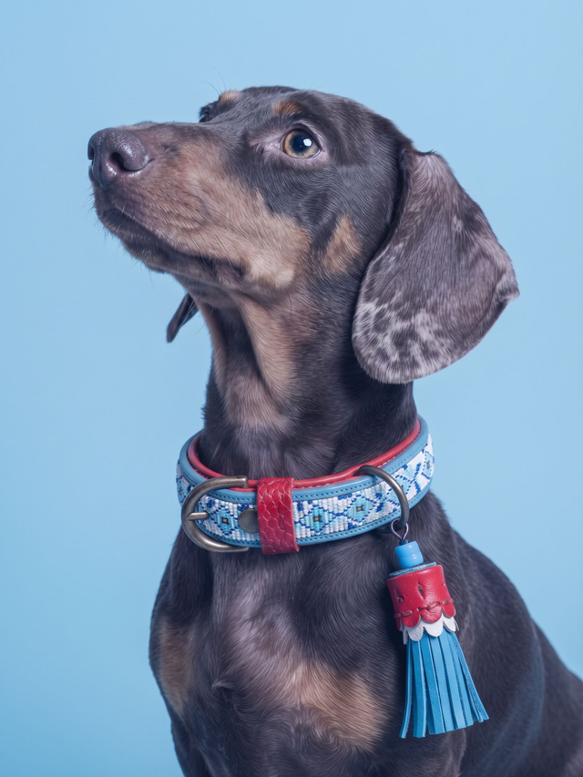 Dutchie Halsband