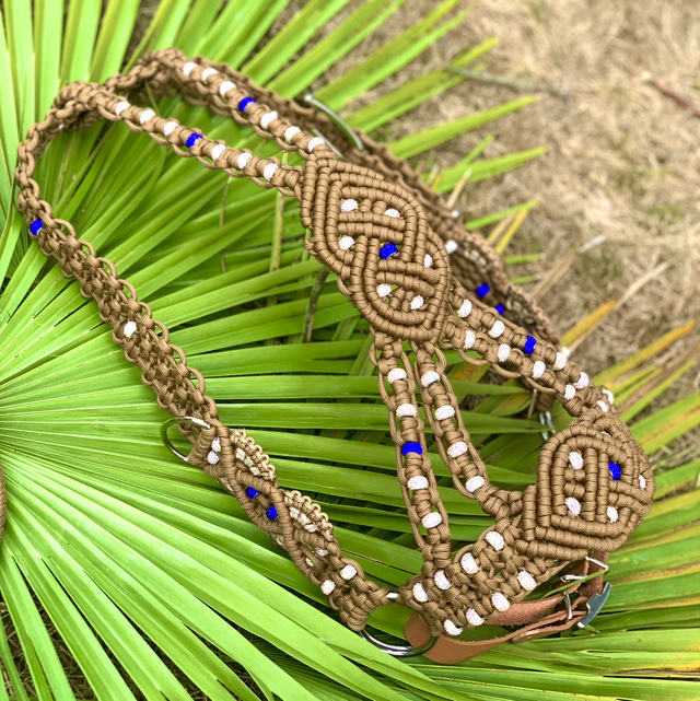 Licol EMPIRE chocolat taille cob