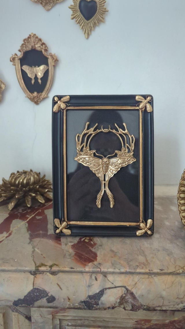 Cadre rectangulaire noir et doré - papillon de nuit tête de mort