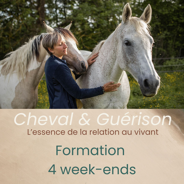 Formation Cheval &amp; Guérison – Traversée en 4 week-ends
